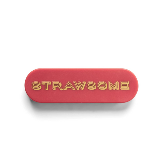 Designworks Φορητό Μεταλλικό Καλαμάκι με Θήκη Strawsome